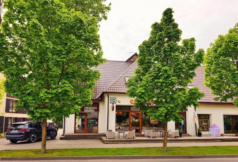 اتاق استاندارد, Draugų Namai