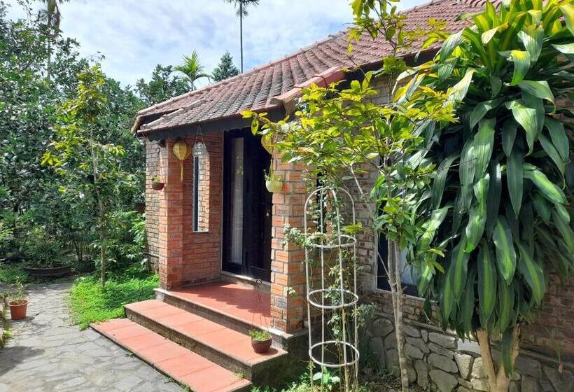 بانگلوی لوکس, Tam Tinh Vien Homestay