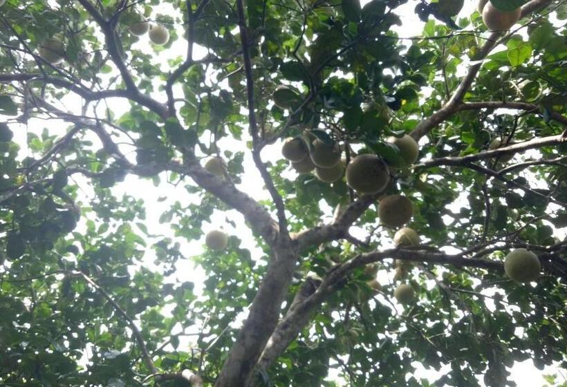 بنگله خانوادگی, Tam Tinh Vien Homestay