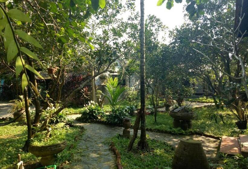 بنگله خانوادگی, Tam Tinh Vien Homestay