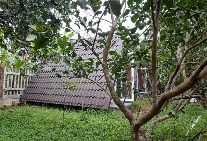 اتاق اکونومی, Tam Tinh Vien Homestay