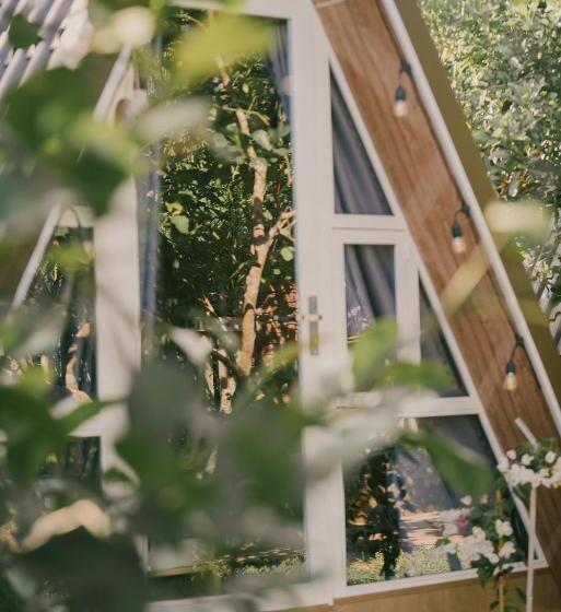 اتاق اکونومی, Tam Tinh Vien Homestay