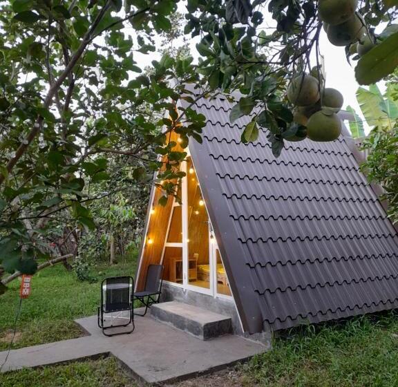 اتاق اکونومی, Tam Tinh Vien Homestay