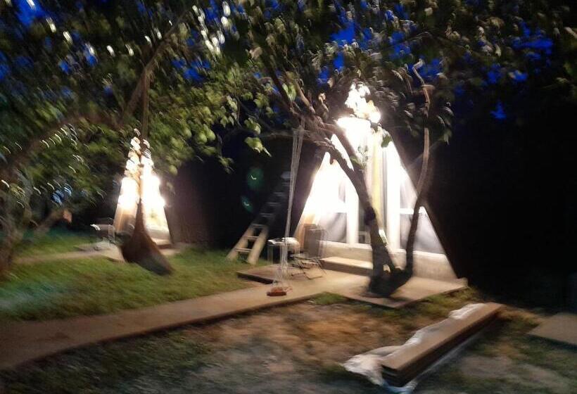 اتاق اکونومی, Tam Tinh Vien Homestay