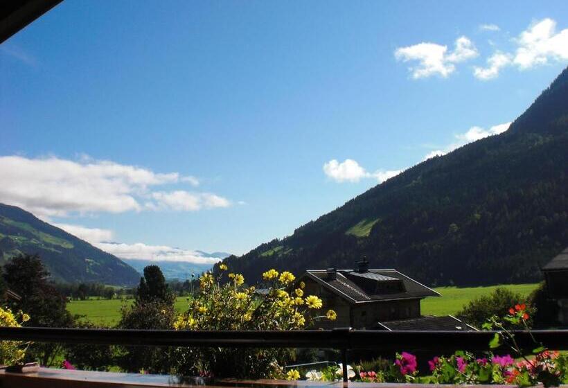 غرفة قياسية مزوَّدة بشُرفة, Naturpension Mühlhof