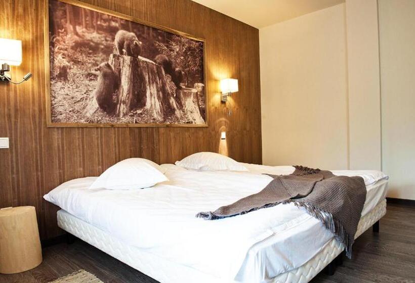 חדר סטנדרט, Pension Pîrîu' Morii