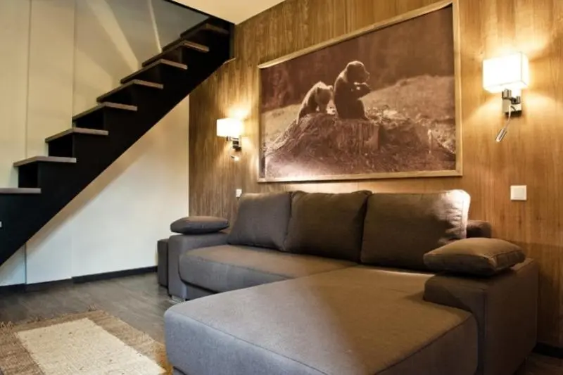 Duplex-sviitti, Pension Pîrîu' Morii