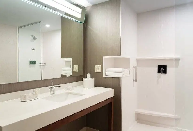 ２ダブルベッドのスタンダードルーム, Courtyard By Marriott Winter Haven