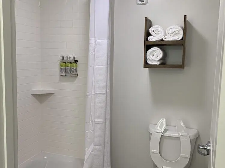 スタンダードスタジオ, Staybridge Suites   Naples   Marco Island, An Ihg