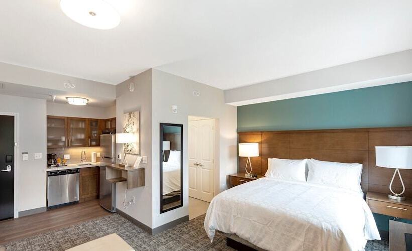 스탠다드 스튜디오, Staybridge Suites   Naples   Marco Island, An Ihg