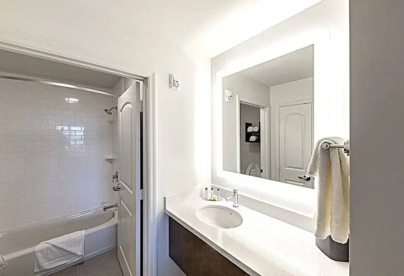 ダブルベッドのスタンダードスタジオ, Staybridge Suites   Naples   Marco Island, An Ihg