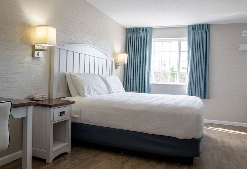 标准间带双人床, The Baywatch Resort