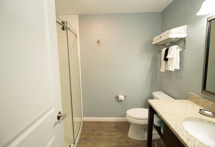 带大床的豪华间, The Baywatch Resort