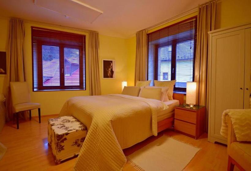 디럭스 룸, Penzion Veza