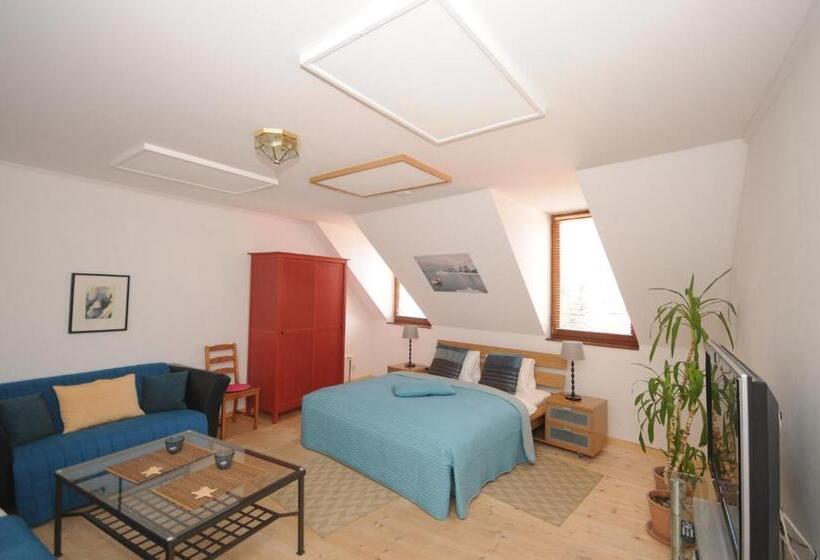 스탠다드 트리플 룸, Penzion Veza