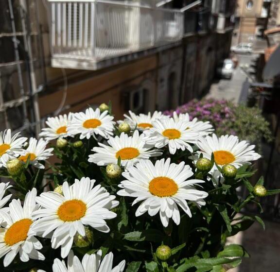 דירת חדר, A'storia