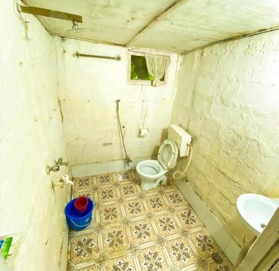 اتاق عادی, Nature Safari Camp