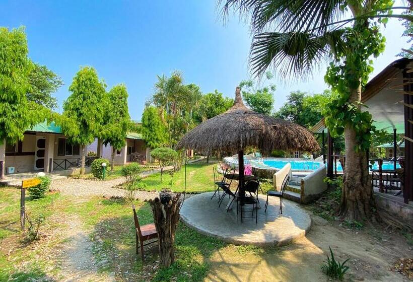 اتاق استاندارد یک نفره, Nature Safari Camp