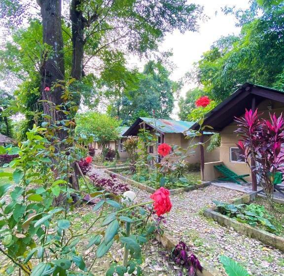 اتاق استاندارد یک نفره, Nature Safari Camp