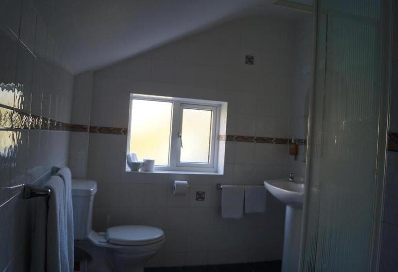 غرفة عائلية, Ardrinane House