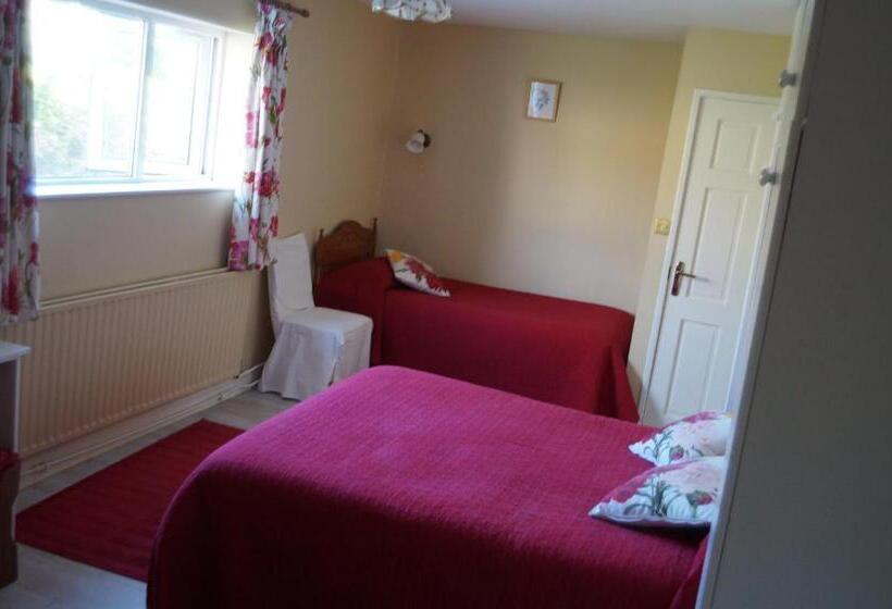 家庭间, Ardrinane House