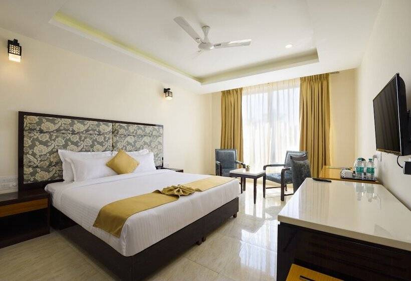 Номер Superior, Bagatel