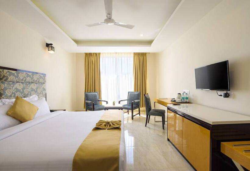 Номер Superior, Bagatel