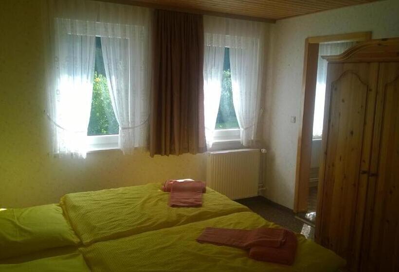 Номер Стандарт, Wiedaer Hütte