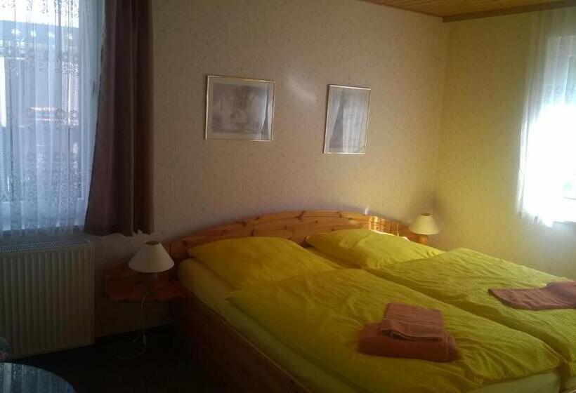 Номер Стандарт, Wiedaer Hütte