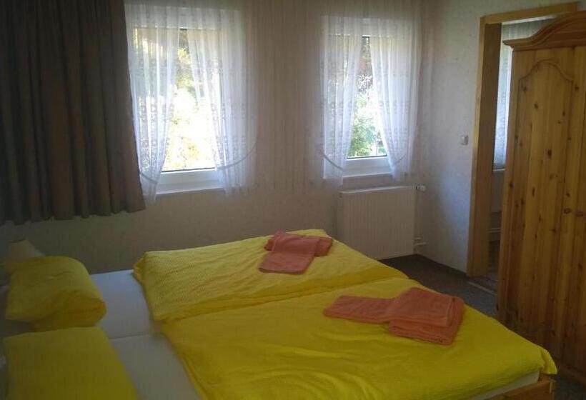 Номер Стандарт, Wiedaer Hütte