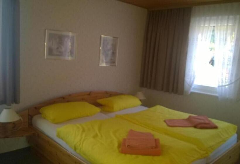 Номер Стандарт, Wiedaer Hütte