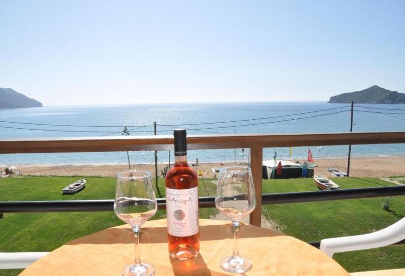 استودیوی استاندارد, Elias & Vasili House