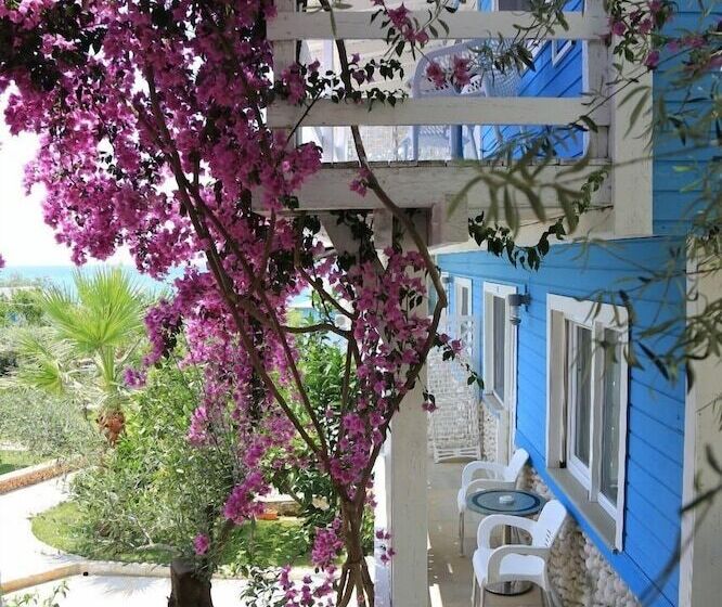 اتاق استاندارد چهار تخته, Drymades Bungalows Adults Only