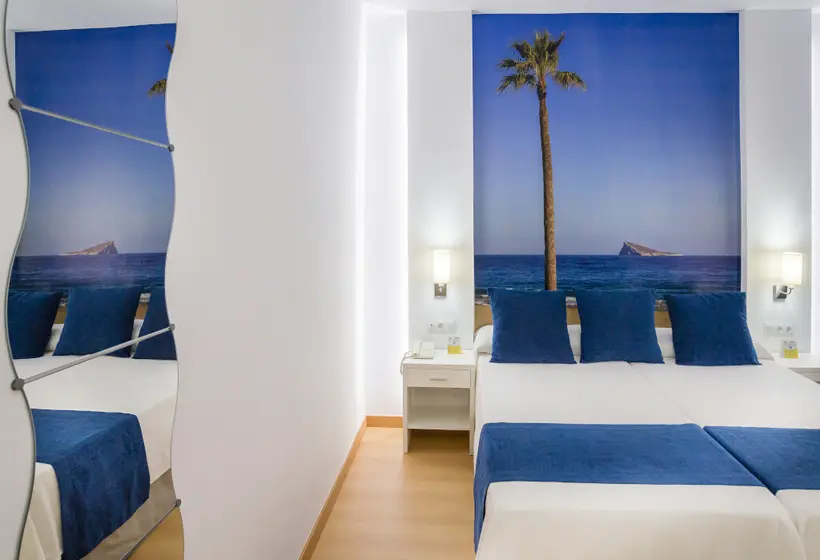 Habitación Estándar, Avenida