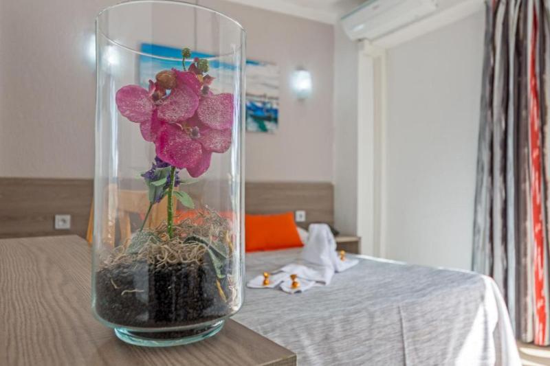 标准单人间, Costa Mediterraneo