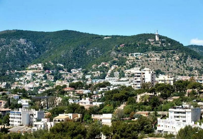اتاق استاندارد یک نفره, Gpro Valparaiso Palace & Spa