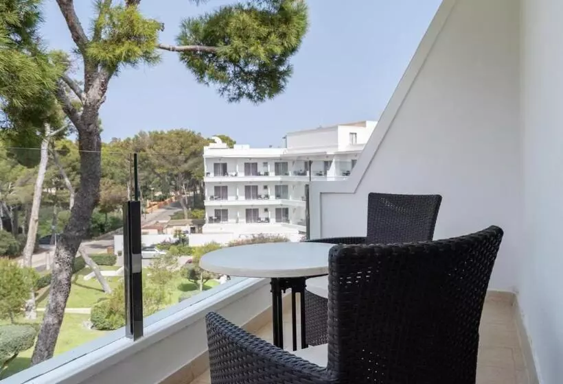 اتاق استاندارد یک نفره, Grupotel Aguait Resort & Spa Adults Only