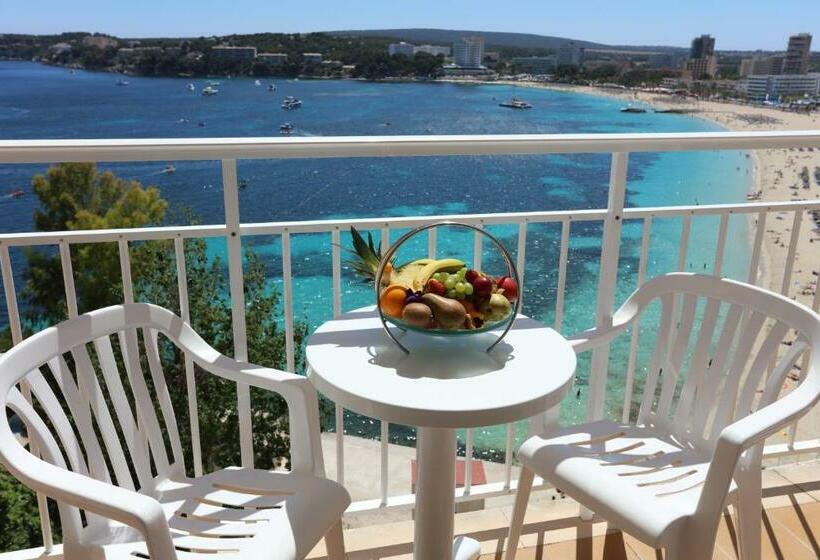 اتاق استاندارد یک نفره با چشمانداز دریا, Bahia Principe Sunlight Coral Playa