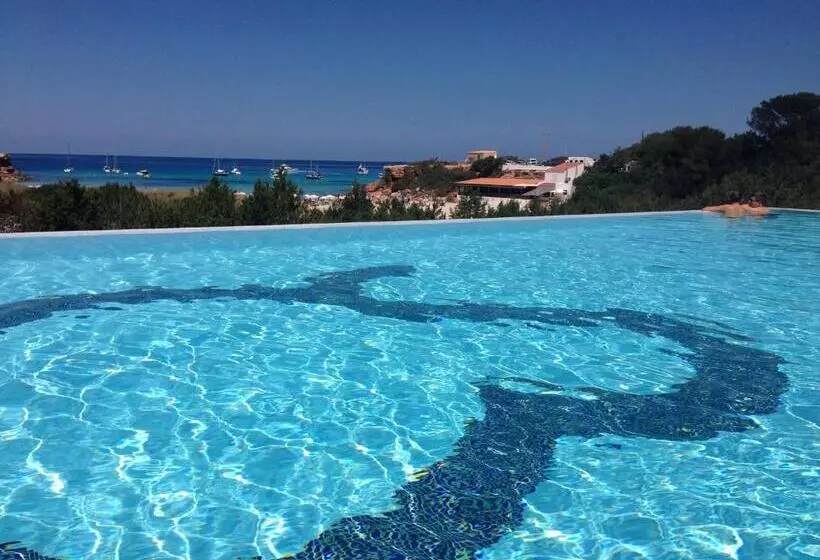 اتاق استاندارد در طبقه همکف, Cala Saona & Spa