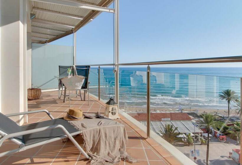 サイドシービュージュニアスイート, Calipolis