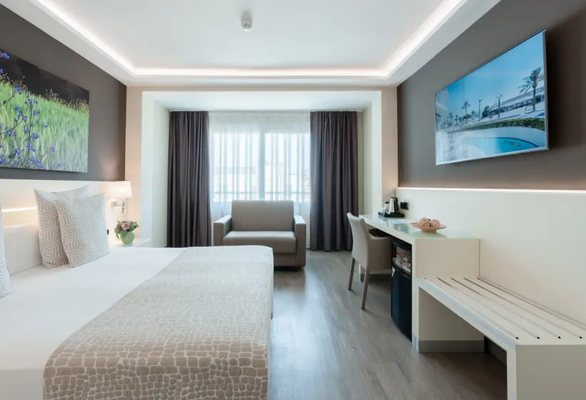 Quarto Triplo Standart, Calipolis