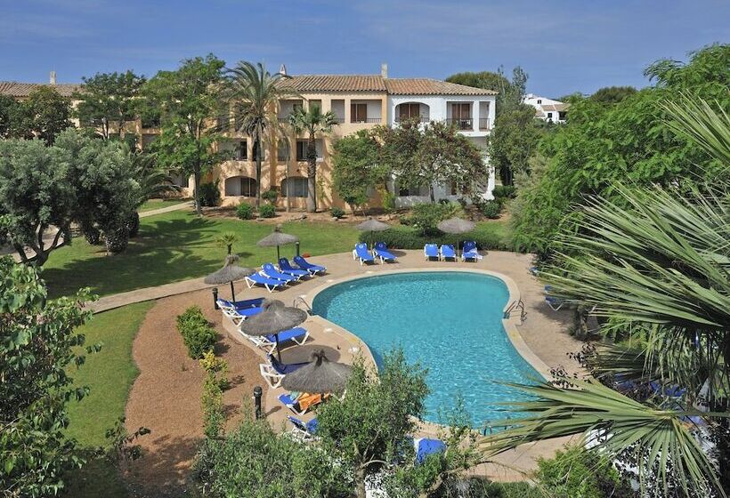 Номер Стандарт, Sol Falcó Menorca