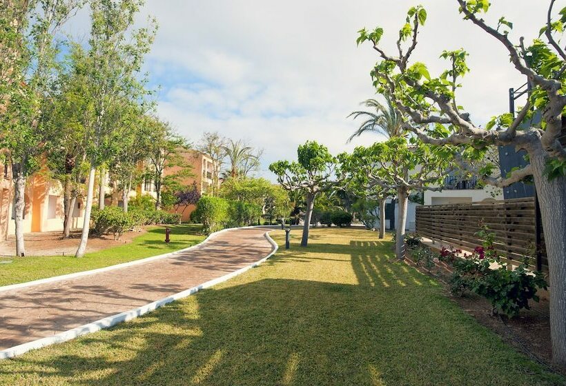 Номер Стандарт, Sol Falcó Menorca