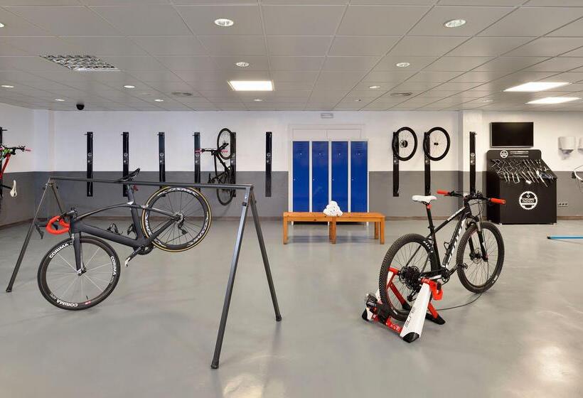 Номер Стандарт, Sol Falcó Menorca