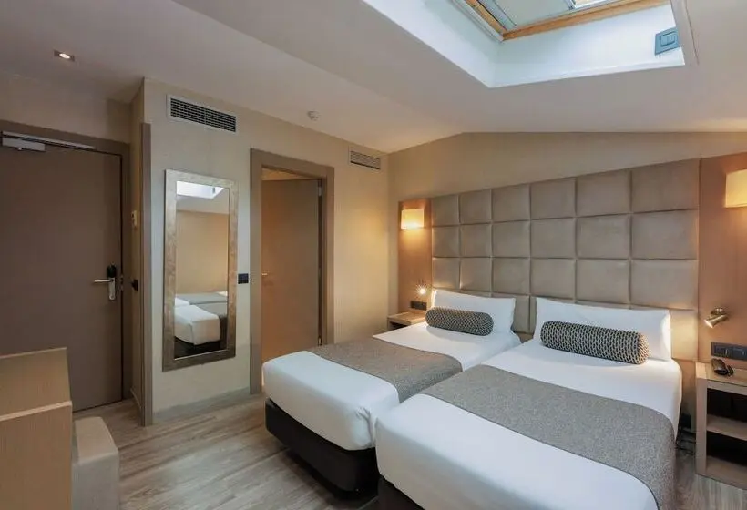 Habitaciï¿½n Estï¿½ndar Abuhardillada, Suizo