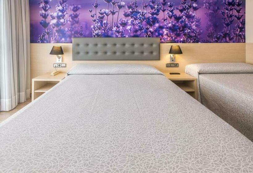 스탠다드 트리플 룸, Tropic Park