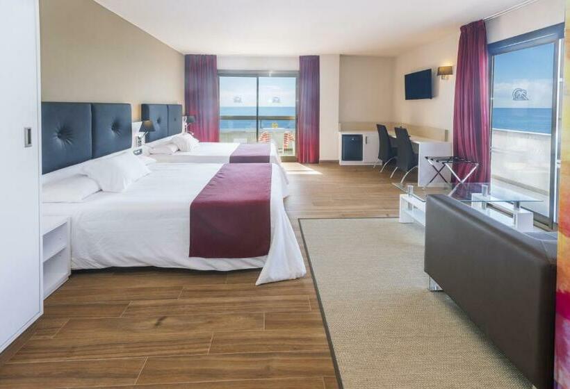 수피리어 룸, Tropic Park