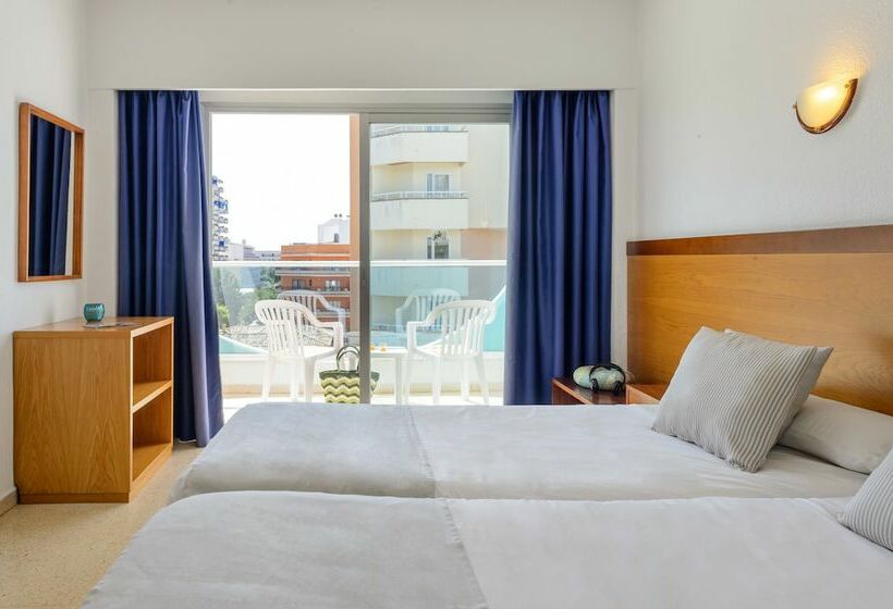 Quarto Estandar, Vibra Palma Cactus