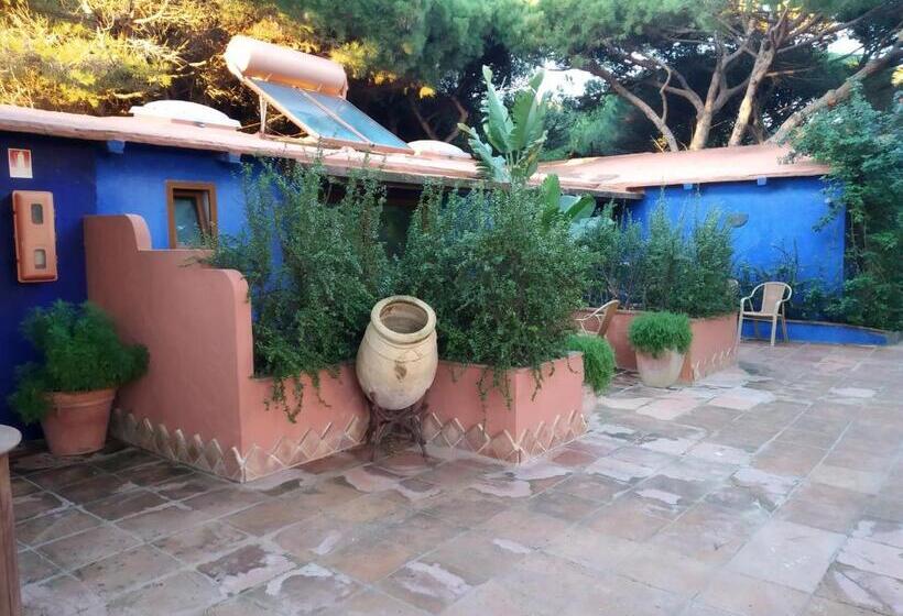 Bungalow Superior, Beach Hotel Dos Mares