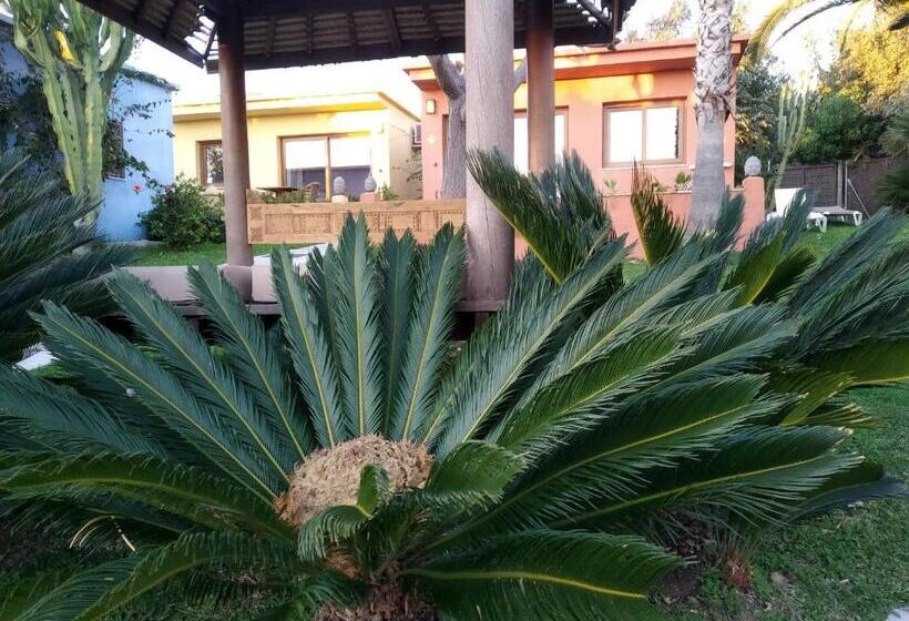 Bungalow Familiar, Beach Hotel Dos Mares